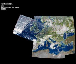 Composite MSA